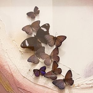 Butterflies